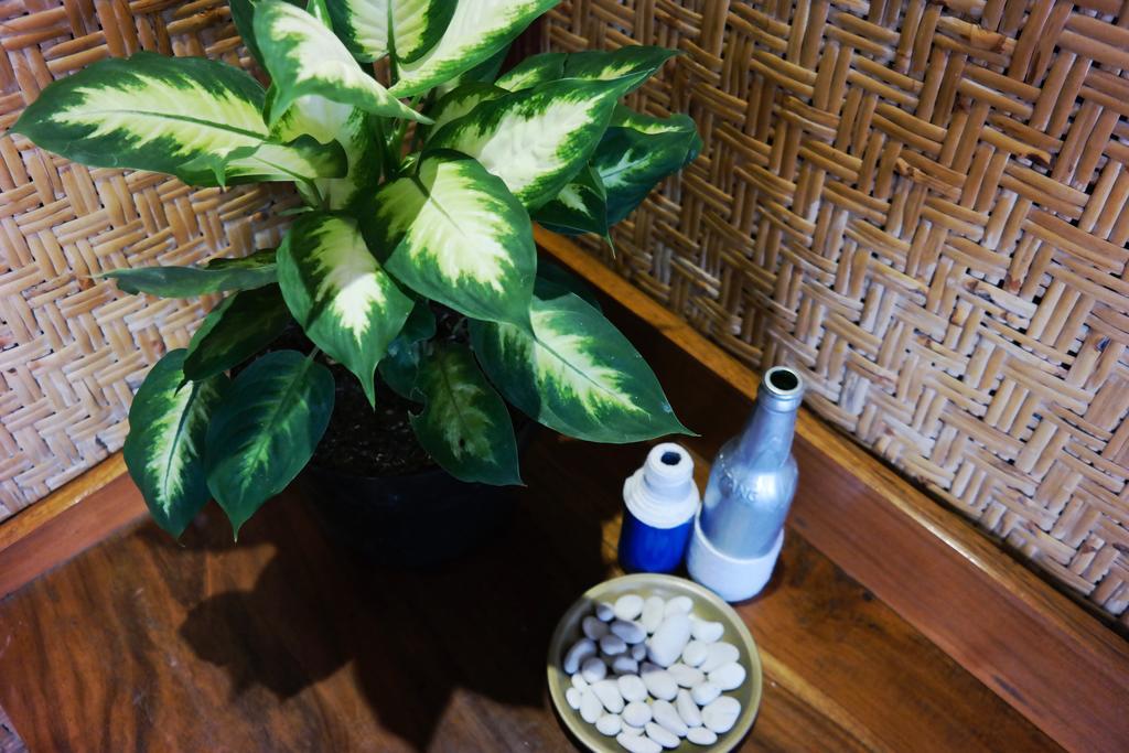 Tehila House Hotel Canggu  Exterior photo